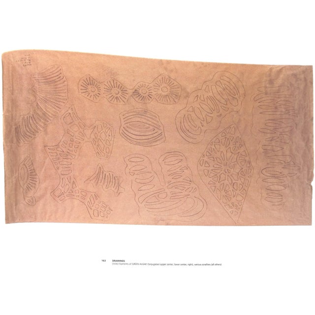 "Workbook" 2004 Doner, Michele Oka For Sale - Image 4 of 11