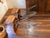 Brown Pair of Vintage "Eiffel Tower" Chrome and Bent Wood Bar Stools For Sale - Image 8 of 11