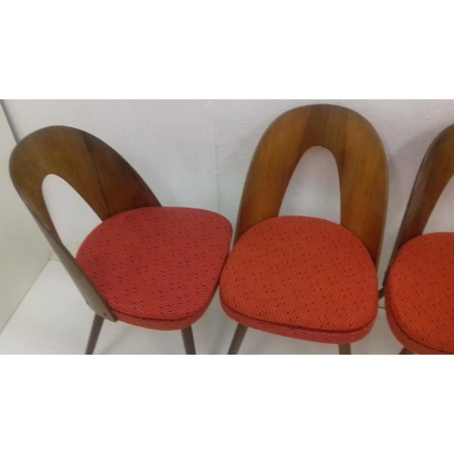 Dining Chairs by Antonín Šuman, 1960s, Set of 4 For Sale - Image 8 of 11