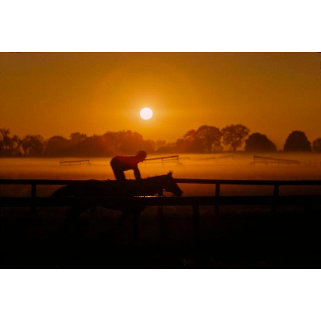 Morning Training At Saratoga Springs by Toni Frissell A jockey rides a race horse at morning training, Saratoga Springs...