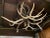 Early 20th Century Hanging Antler Candelabra For Sale - Image 4 of 8