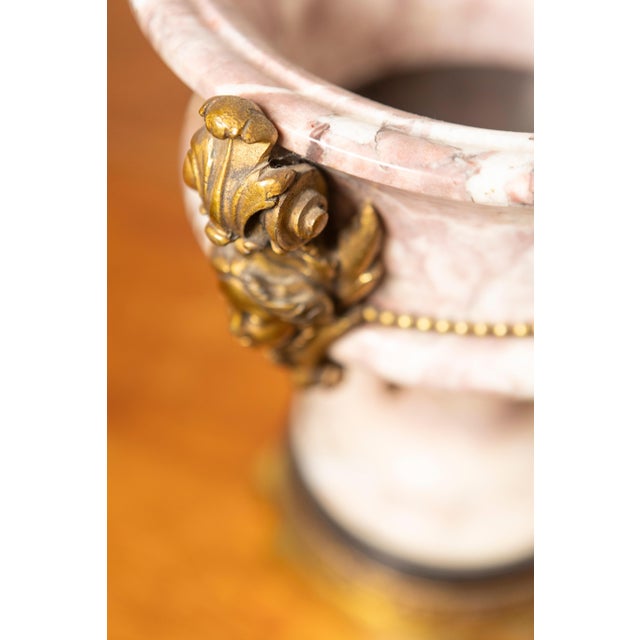 Neoclassical Pair of 19th-Century French Neoclassical Marble and Gilt Bronze Urns For Sale - Image 3 of 12
