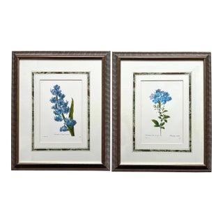 Redoute Custom Framed Botanical Prints-a Pair For Sale