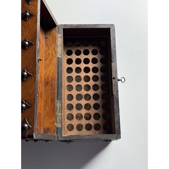 Wood Cigar Shop Box, 1900s For Sale - Image 7 of 14