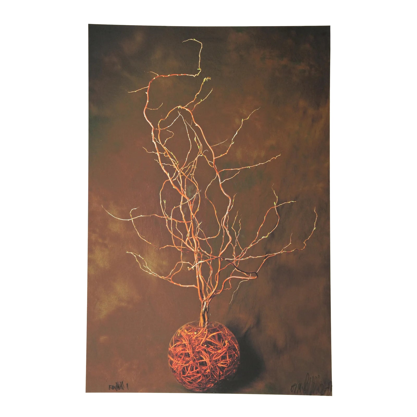 Fish Bowl, Jonathan Singer, Photography | Chairish