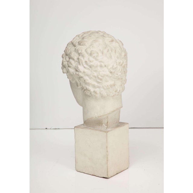 Plaster Bust For Sale - Image 4 of 7