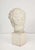 Plaster Bust For Sale - Image 4 of 7