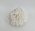 Chinoiserie Natural Birdsnest Coral Specimen Coastal Decor For Sale - Image 3 of 6