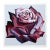 Lowell Nesbitt, "Red Rose" Photo Realist Flower Print For Sale
