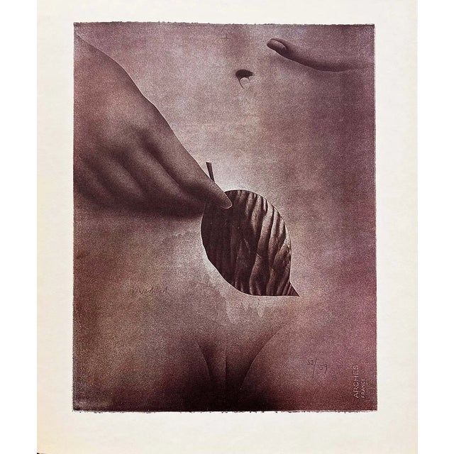 Paul Wunderlich Country: Germany Title: La Feuille – 46 Medium: Photogravure Marks: Signed and numbered in the plate...