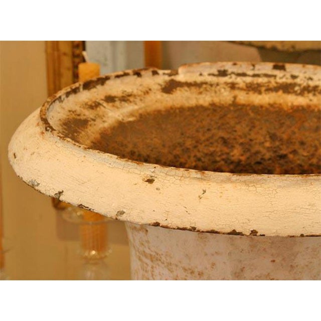 19th C Cast Iron Urn Jardinere For Sale - Image 4 of 5