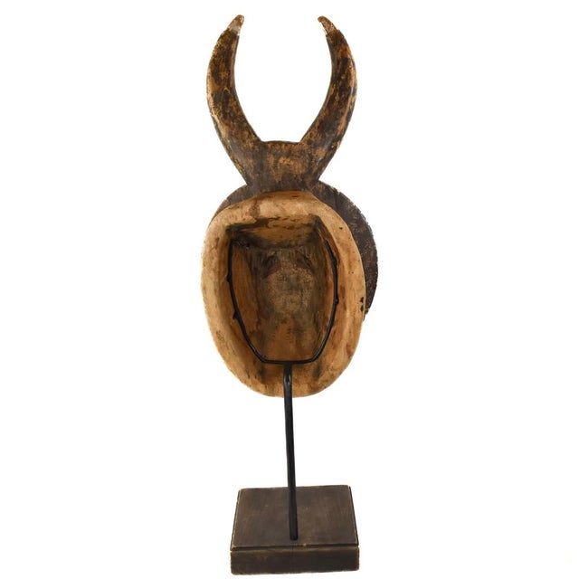 African Early 20th Century Baule Goli Mask Kplekple on Custom Stand Côte d'Ivoire For Sale - Image 3 of 8