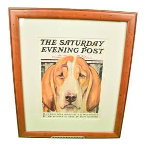 The Saturday Evening Post January 30, 1937 Magazine Cover of a Fox-Hound by Paul Bransom