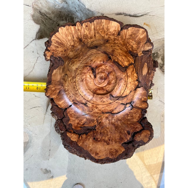 Organic Modern Hand-Turned Natural Edge Sugar Maple Burl Centerpiece Bowl - 12.5x9.5 Inches For Sale - Image 10 of 12