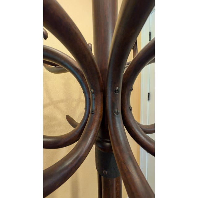 Thonet Bentwood Hall Tree, 1910, Authenticated For Sale - Image 9 of 17