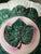 Vintage Italian Majolica Hand-Painted Grape Leaf Plate For Sale In Houston - Image 6 of 9
