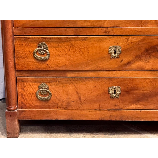 19th Century 19th Century French Empire Walnut Chest For Sale - Image 5 of 12