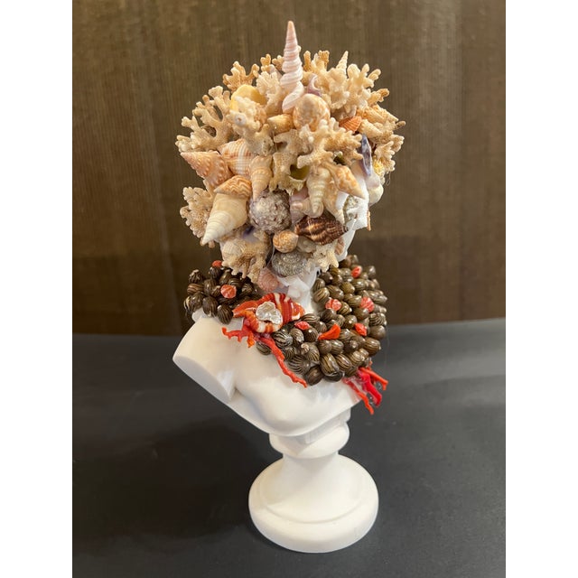 Mediterranean CSS Seashell Apollo Bust For Sale - Image 3 of 6