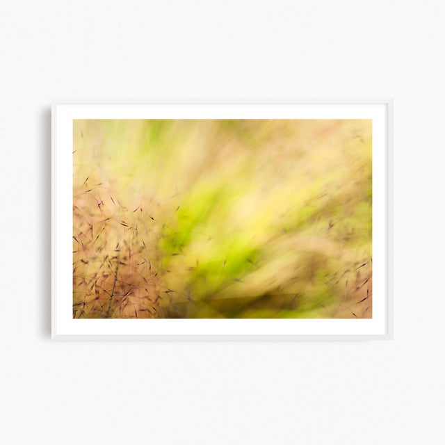 'In the Pink' Set of Botanical Photographs, Series of Four 18 X 12" Fine Art Photography Prints For Sale - Image 11 of 15