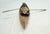 Brown Antique Hand Carved Wood Canadian Inuit Eskimo Art Wood Sculpture Canoe Man For Sale - Image 8 of 12