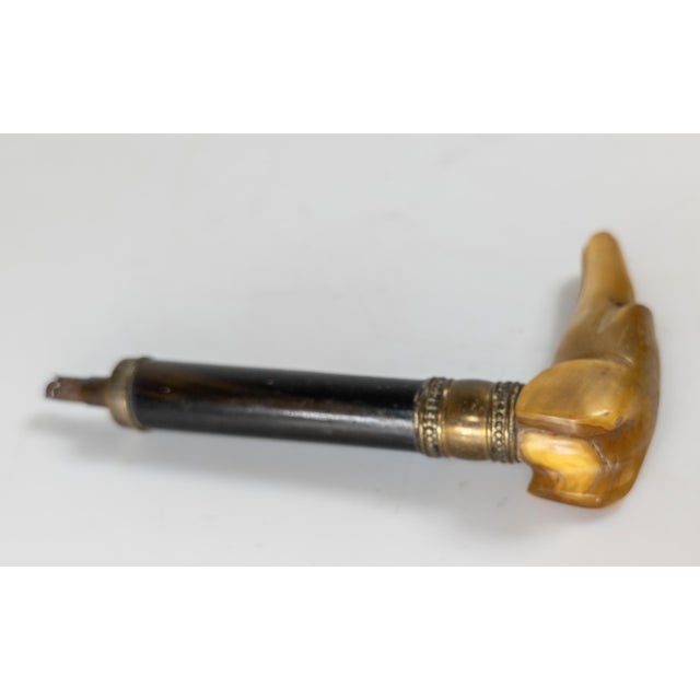 Late 19th Century 19th Century Victorian Carved Water Buffalo Horn Parasol Handle in the Form of Greyhound For Sale - Image 5 of 8