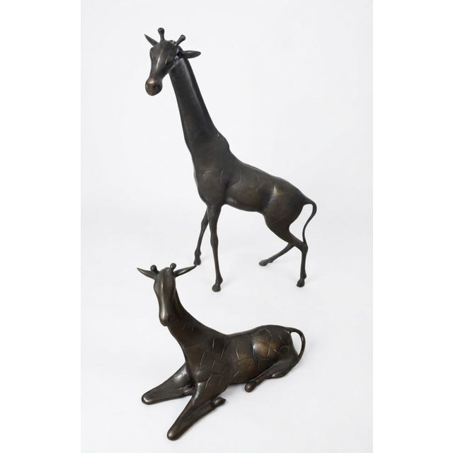 A striking matched pair of tall giraffe sculptures with an elegant, sculptural presence—one standing and one reclining....