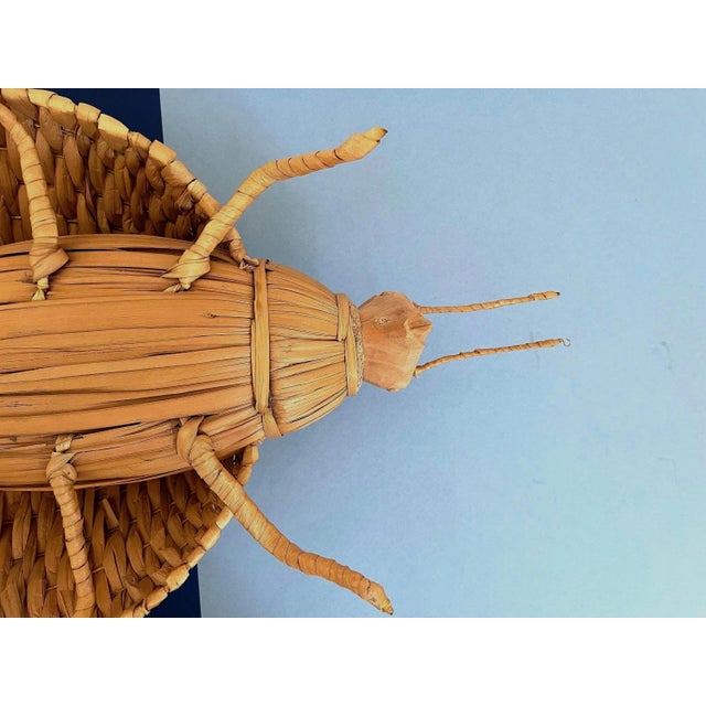 Giant 1970s Wicker Beetle For Sale - Image 18 of 18