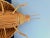 Giant 1970s Wicker Beetle For Sale - Image 18 of 18