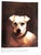"Dog Painting 1840-1940" 1992 Secord, William For Sale - Image 4 of 12