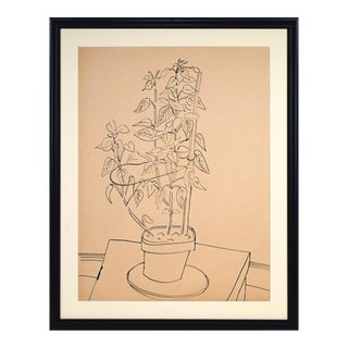 Vintage Mid Century Modernist Still Life Drawing of Potted Plant by Achillo Sullo C. 1950s For Sale