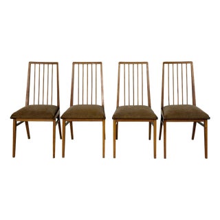 Vintage Hellerau Chairs, 1960s, Set of 4 For Sale