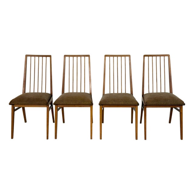 Vintage Hellerau Chairs, 1960s, Set of 4 For Sale