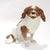 Art Nouveau Antique Dresden Porcelain King Charles Spaniel Sculpture or Figurine For Sale - Image 3 of 18