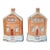 Antique 19th Century English Staffordshire Brick Cottage Coin Banks Circa 1860 - A Pair For Sale