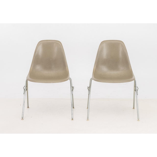 Pair of Eames for Herman Miller Shell Chairs, each with gray fiberglass seat on chrome-plated legs and label to underside....