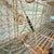 Antique French Bakers Rack For Sale - Image 10 of 14