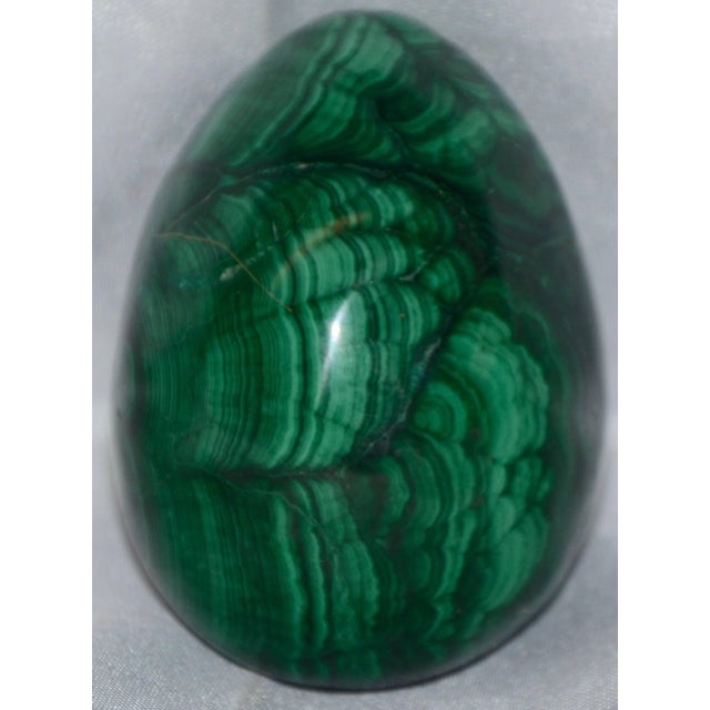 Beautiful veining in shades of green form this malachite egg. The smoothness of the stone is amazing! Polished Malachite