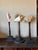 Figurative 3 Baroque Mounted Seashell Specimens Displays on 19th Century Dark Wooden Stands For Sale - Image 3 of 11