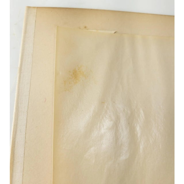 19th Century Egyptian Black and White Photo of Karnak Temple For Sale - Image 10 of 10