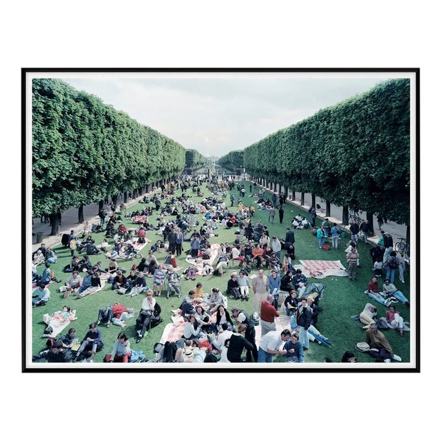 Massimo Vitali, Pic Nic Allée, 2000, Photolithograph For Sale