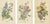 Edward Step, Triptych of Garden and Greenhouse Splendors, 1896, Paper, Set of 3 For Sale