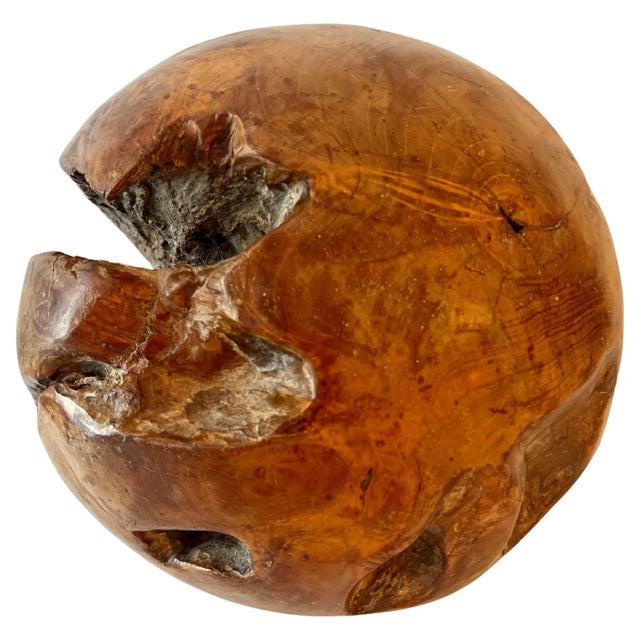 Mid 20th Century Round Hand Carved Wooden Organic Sculpture For Sale - Image 5 of 10