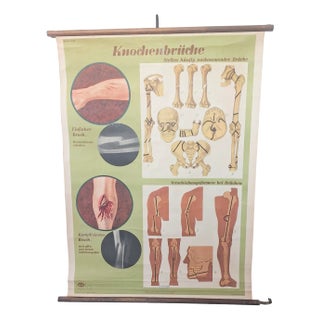 Vintage School Poster, 1930s For Sale
