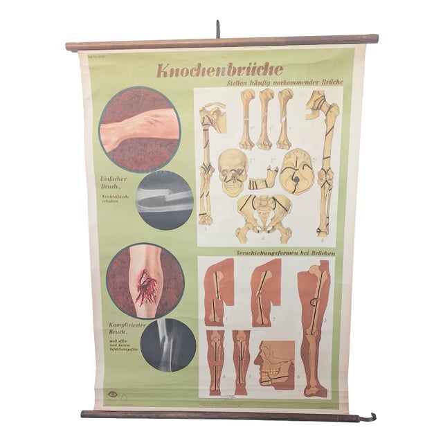 Vintage School Poster, 1930s For Sale