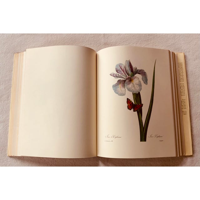 Redouté "Beautiful Flowers and Fruits" | Large Format Botanical Book For Sale - Image 10 of 18