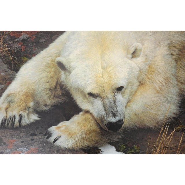Realism Carl Brenders "Top of the World - Polar Bear" Signed Limited Edition Lithograph, 1995 For Sale - Image 3 of 11