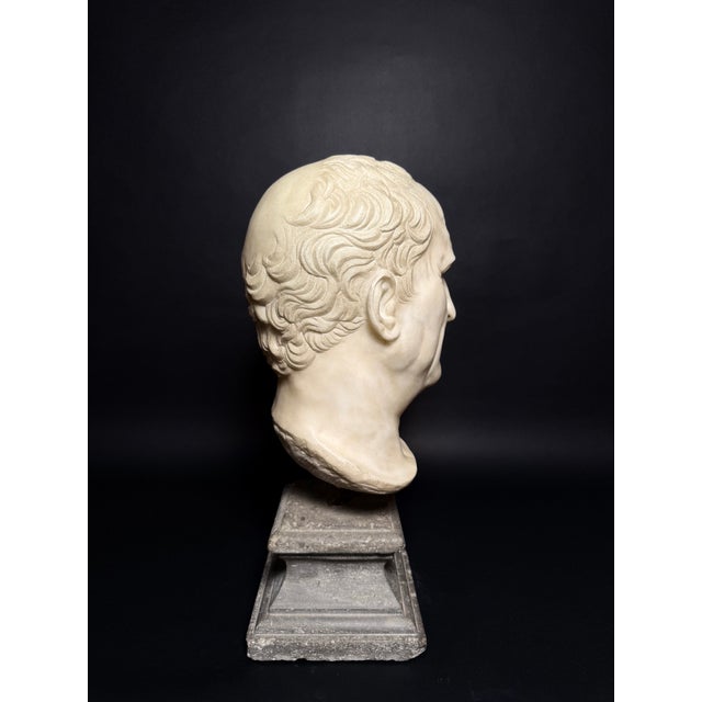 Head of Marcus Tullius Cicero, Late 18th Century, Marble For Sale - Image 15 of 18