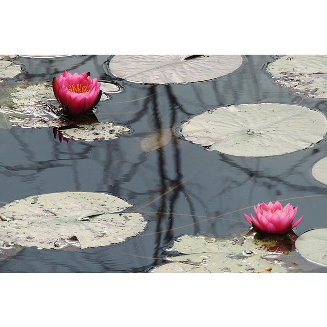 Limited edition contemporary color photograph by Dorothy Solomon Image Size: 12" x 18" Frame Size: 15.875" x 21.875"...