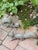 Vintage Ceramic Squirrels Life Size - A Pair For Sale - Image 9 of 10
