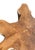 Sculptural Solid Teak Wood Sofa Table With Natural Grain & Bleached Finish For Sale - Image 10 of 11